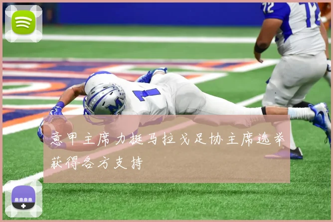 意甲主席力挺马拉戈足协主席选举获得各方支持