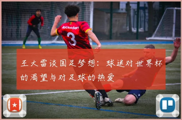 王大雷谈国足梦想：球迷对世界杯的渴望与对足球的热爱