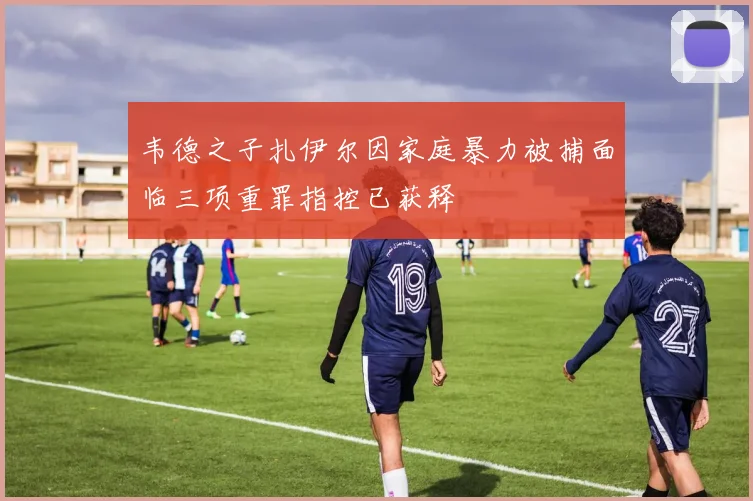 韦德之子扎伊尔因家庭暴力被捕面临三项重罪指控已获释